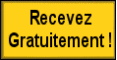 Doublez Automatiquement votre trafic visiteur !